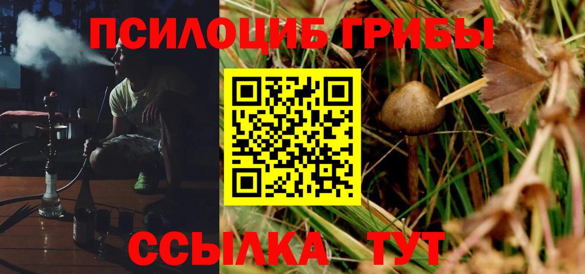Псилоцибиновые грибы Cubensis  Вход с VPN  Псилоцибиновые грибы MAGIC MUSHROOMS  Евпатория 