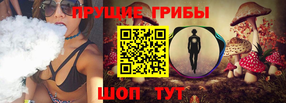 Псилоцибиновые грибы GOLDEN TEACHER Евпатория